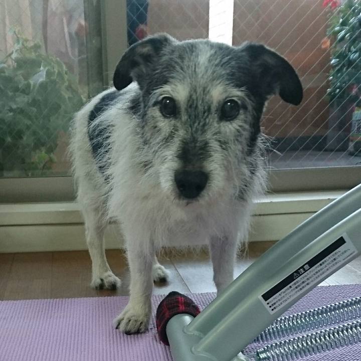 123d6235 e8a9 41d3 a87f 5c820e0cd299