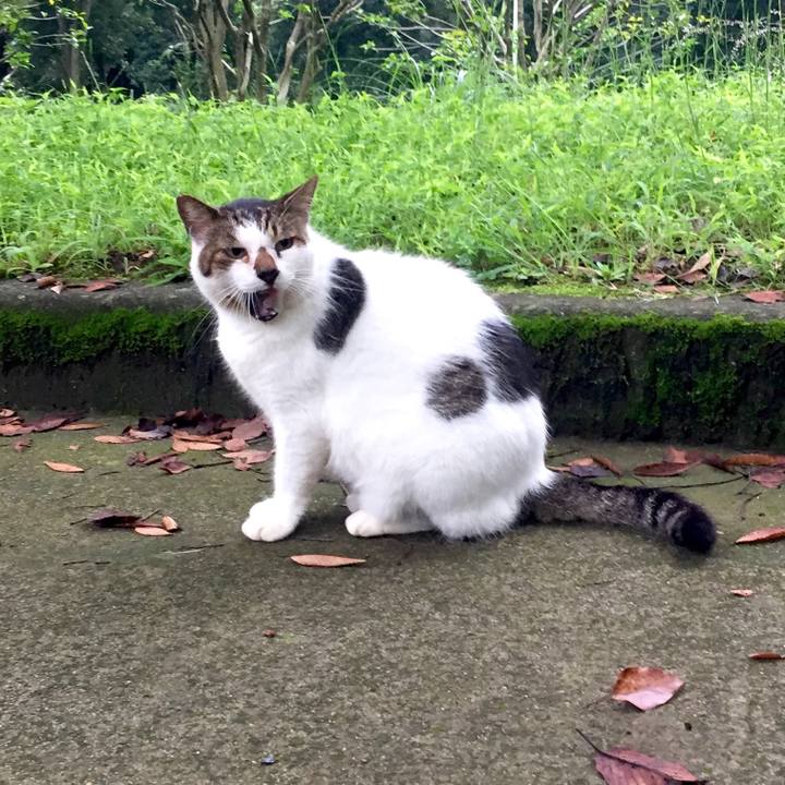 123d647f 1344 4ac5 9a22 9b8da4706711