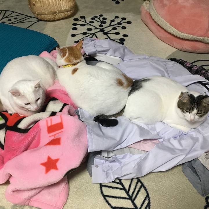 123e6d9e 7590 4ebf 98d6 d9e51b461c9a