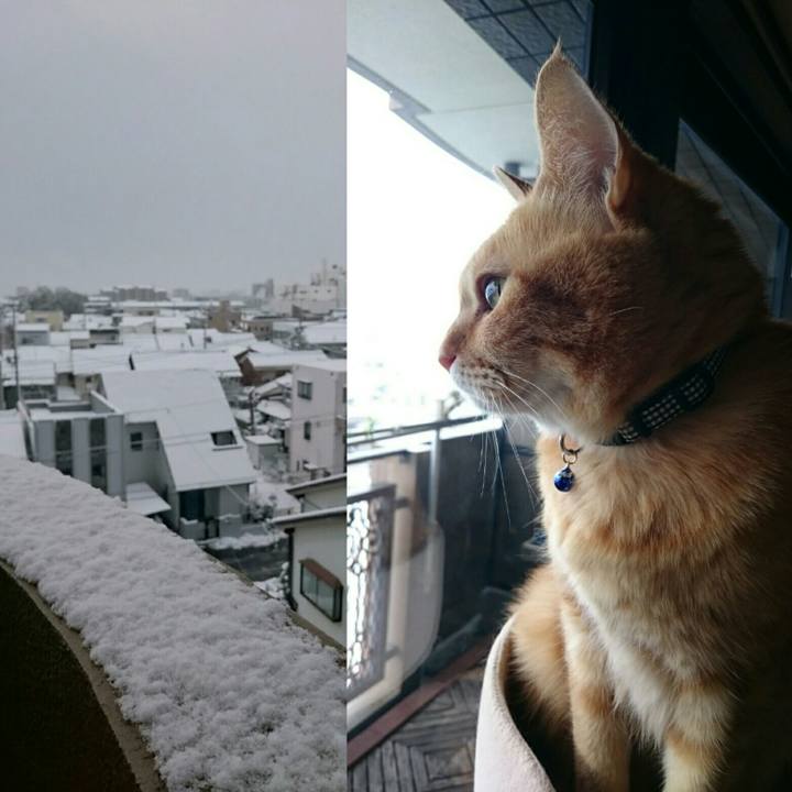 123e96f6 4606 4845 bd07 ba92654e0f2b