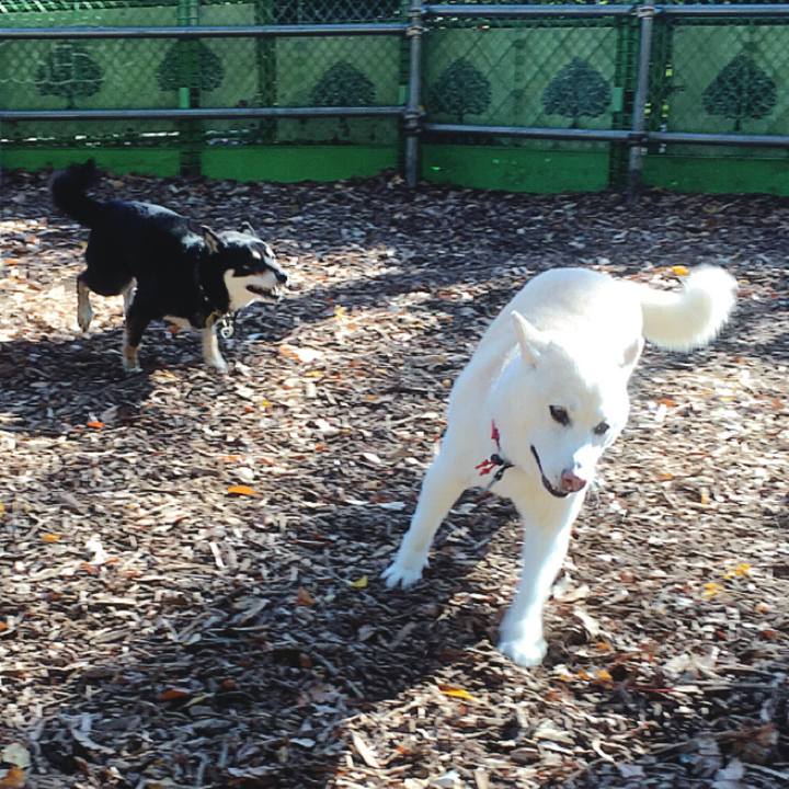 123ef98e c6d3 43d0 ac32 4441f31c801a