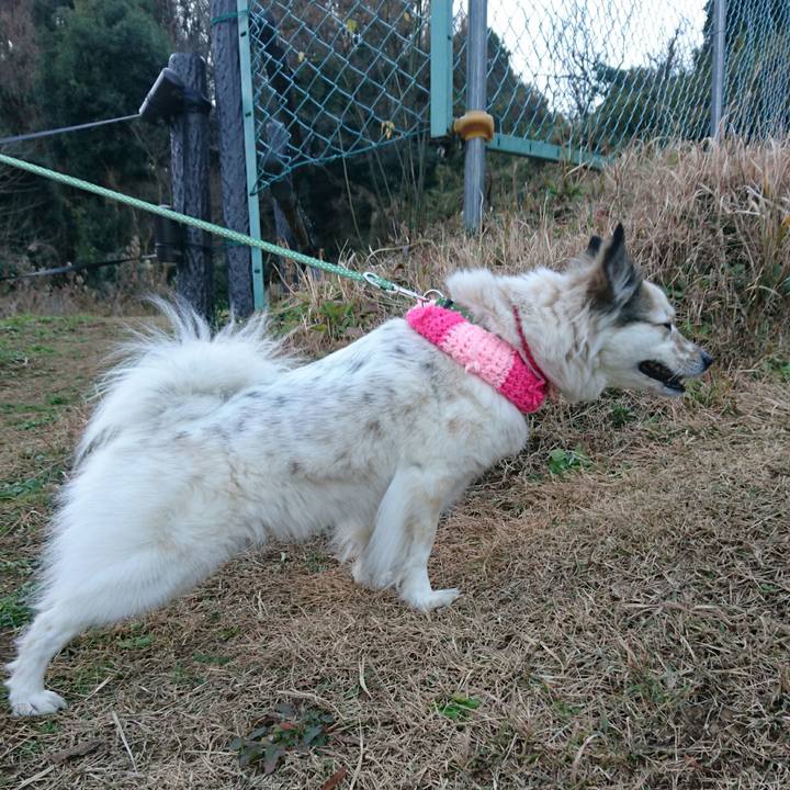 123f270f d09b 4446 86e3 bcd127f6ba5d