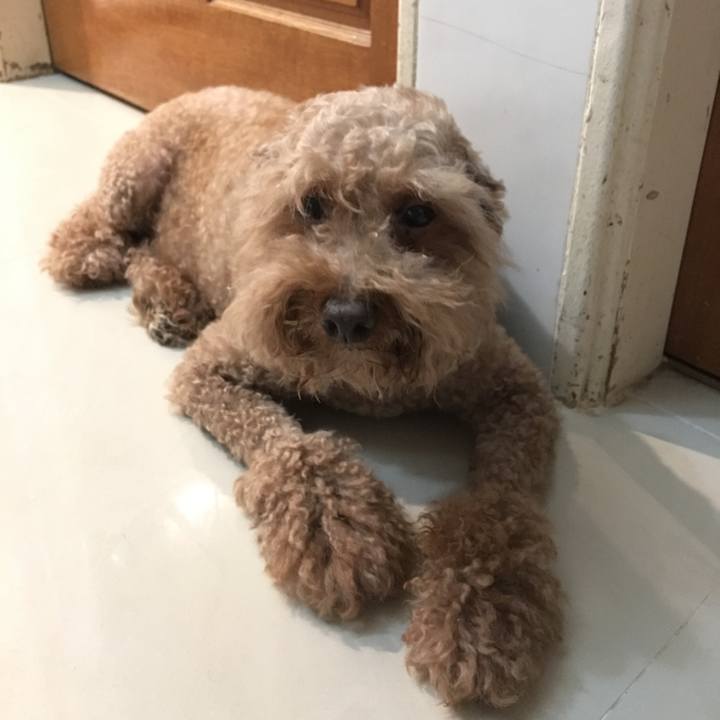 123f6197 ddba 4dcb a747 f0c9a7e60a3c