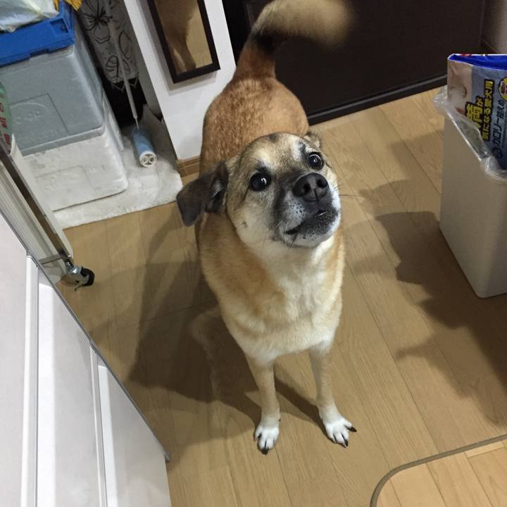 123f8ba3 008e 46ac 980c 0644dd0a3906