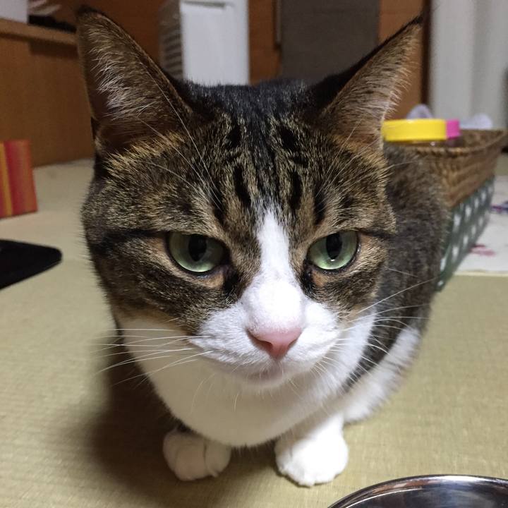 12403517 eec0 4824 8c13 604a79cbe268