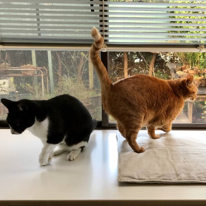 1241461a db3b 4248 96e0 49d3ceceab5b