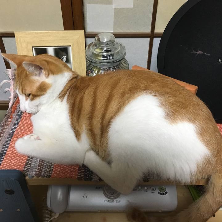 1241ef21 a1e7 4cf8 b538 12d27c20a437