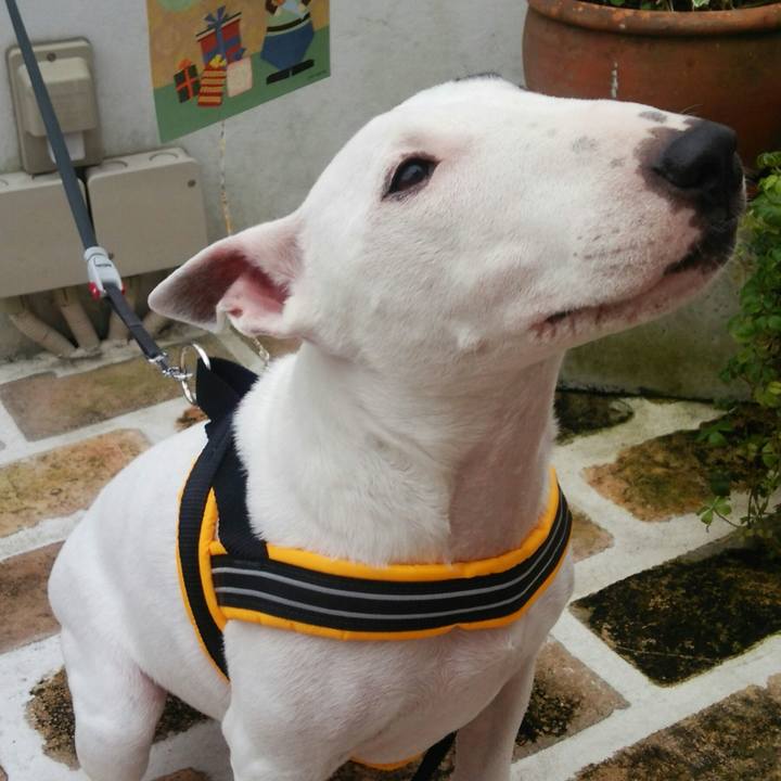 12423b4e 440a 4ae1 8faf cc3b7de2c869