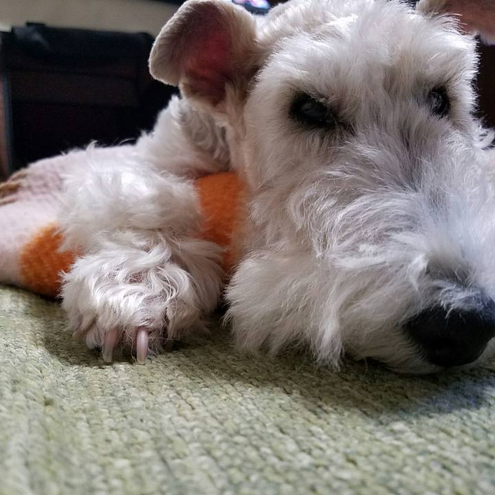 1242ffca 0235 4e4f b60f 9ad0bdcb7cdf