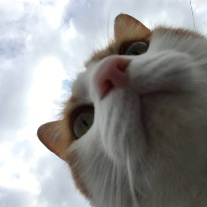 12432db7 dd25 4922 b26d eca8319d0fb8