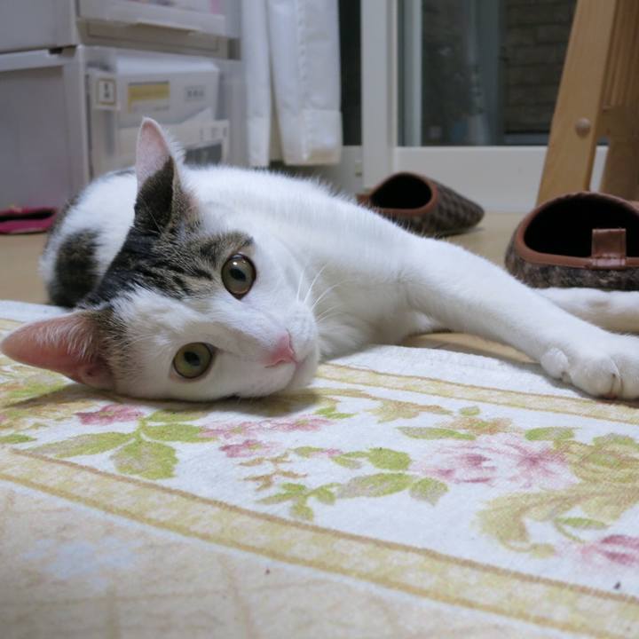 1243508e 1270 492e 9433 6c0f0b997cfd