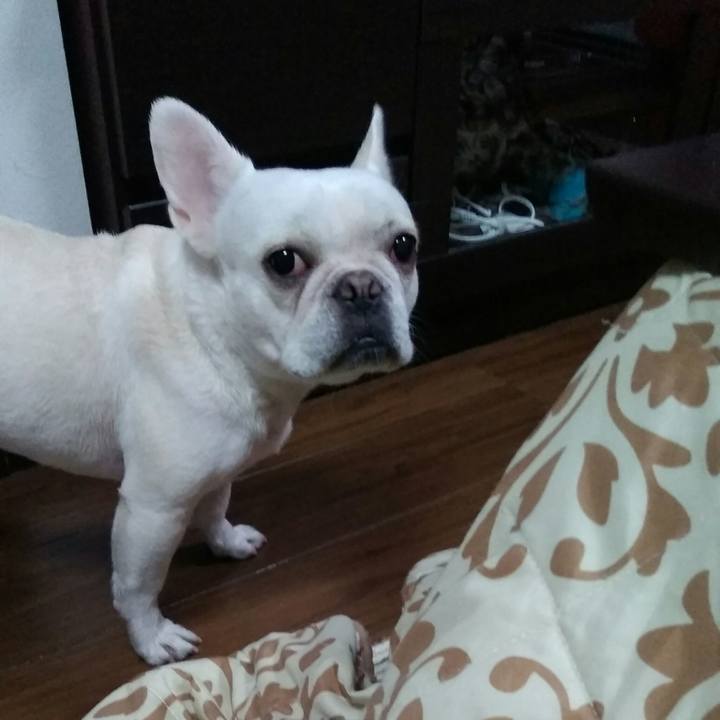 12443dbe ff3f 4a3f bcd9 22f266a2c9a9