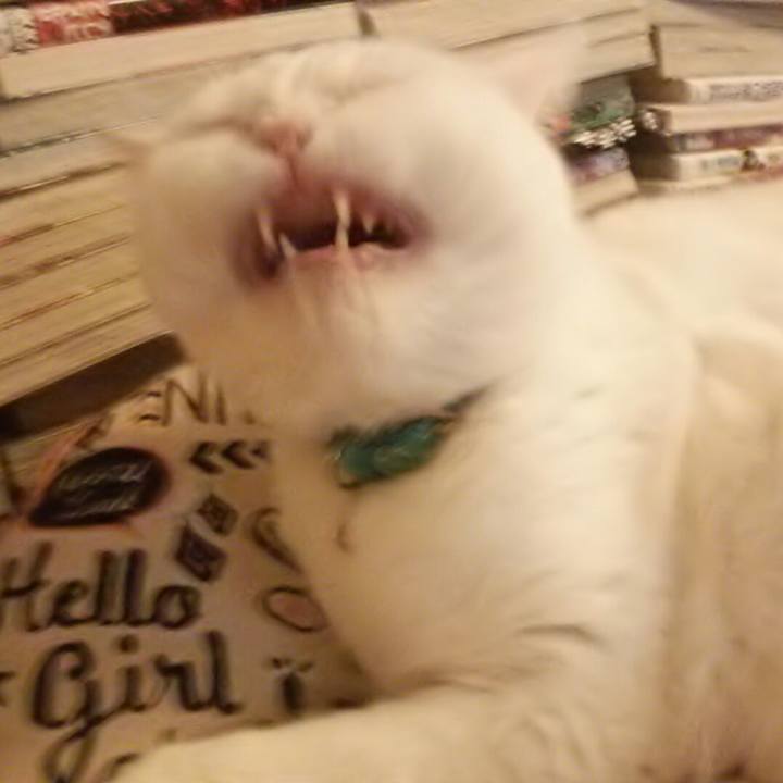 124456d9 8eb5 491e 8e06 ef3dbb2f672e