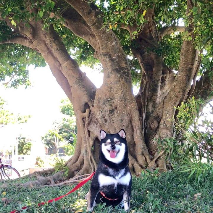 12449c64 9759 43e5 8cee 8d6a189a407b