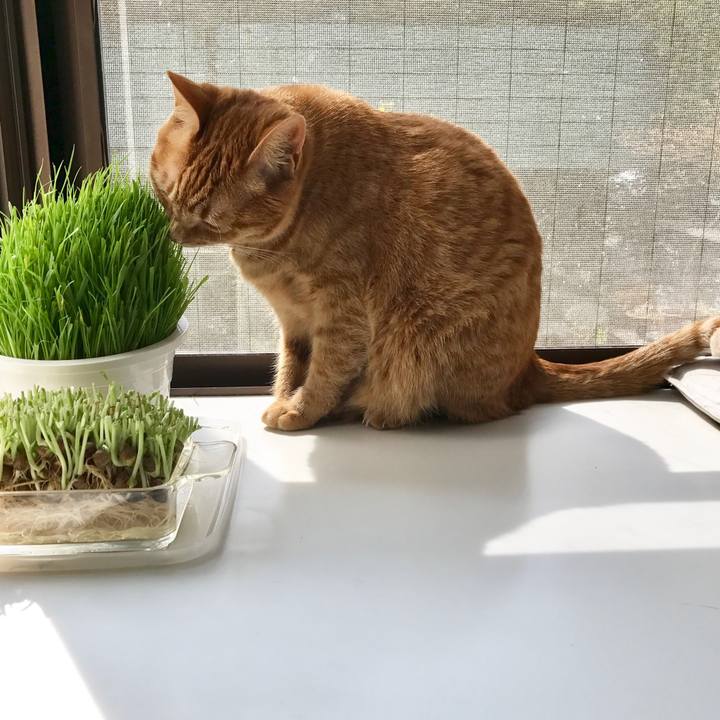 1245846e 31bb 44a2 99b5 43b407e3c9d4