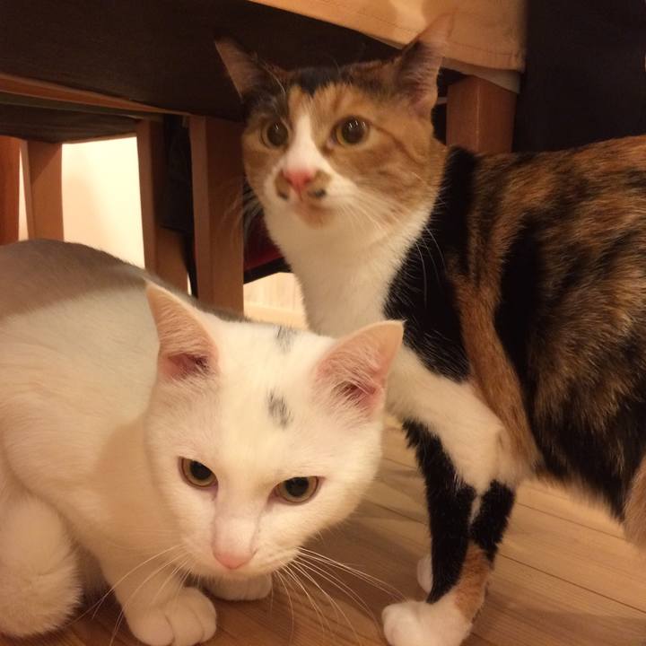 1245cea4 8b6a 4e1d 8928 51caebec0338