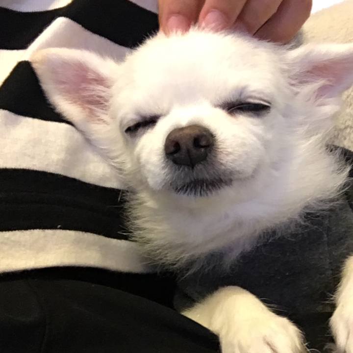 1246840d 7701 42e8 ac42 502030088677