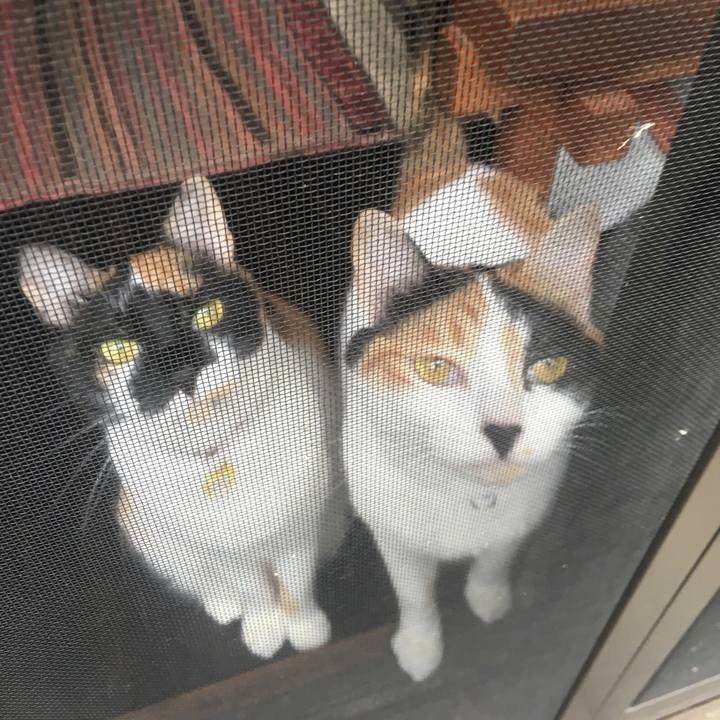 1246c521 3501 4fc2 a951 7603bb69e232