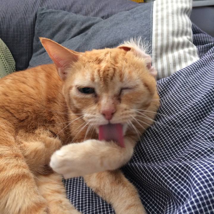 12473048 42a1 487a a2c8 d9b736f55876