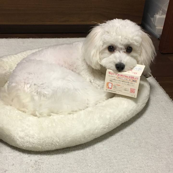 1248e2db ac14 48bc bb2f 75eb71356d30