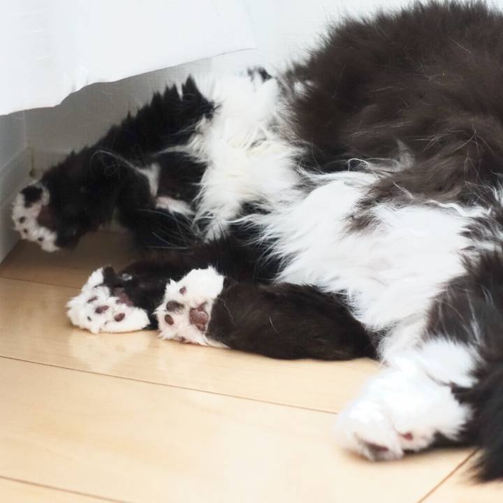 124906a9 e3c2 474c 8277 dd5b7e41cdbb