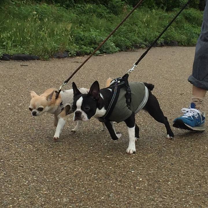 12497271 0463 4542 8089 7becdfe09b2d