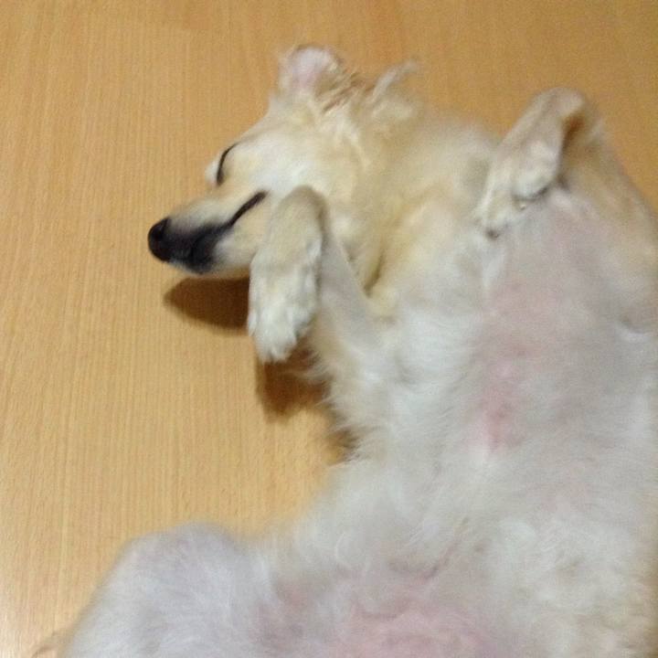 124a2f4b 6a78 4f3b a4ca 987803b990c3