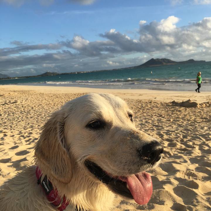 124a3c0a 7cd0 4500 9536 cafa9e05a02b