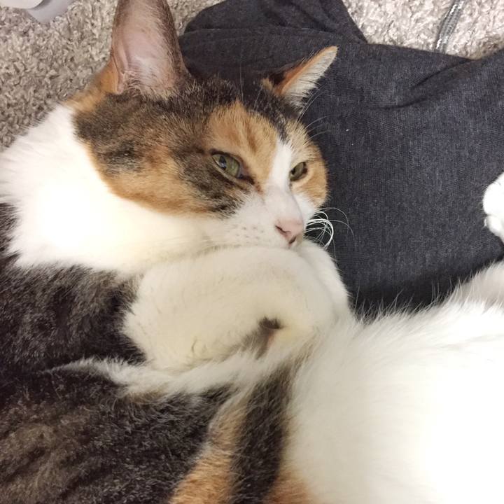 124a7b15 1d09 4117 b842 6557cdbeae32