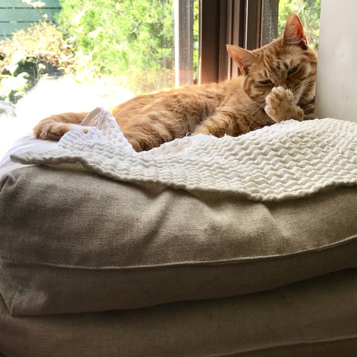 124aa822 804e 4a1d a9e7 a57acd8fe8f8