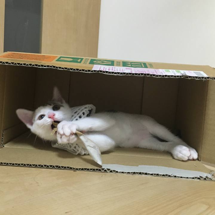 124b3761 d658 4edc b0c5 bb18531835a4