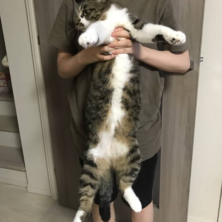 124bb3aa f371 4203 be77 767b67814d7e