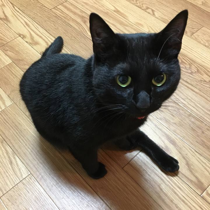 124bd60b 80c9 4b1a a677 2135dd866eed