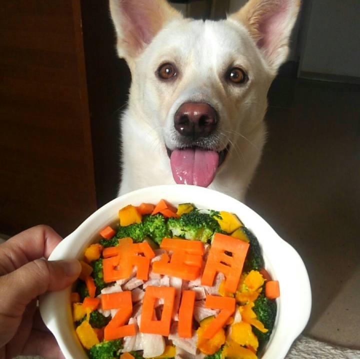 124be1b9 e9cd 456f 8aab c8b77f624f65