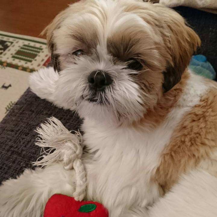 124d137c 080c 4df4 ab9f dd983175cee9