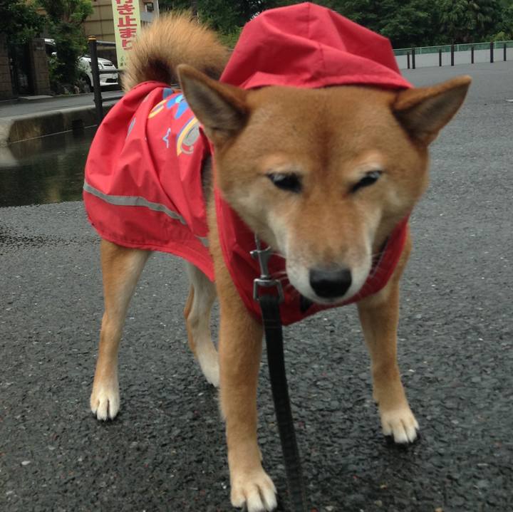 124d77eb 3446 4fdf b80c 4db0d34af054