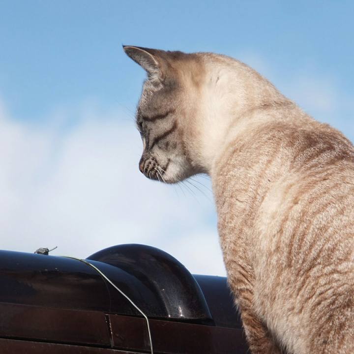 124dc077 750e 4844 91e6 95d2113bc23f