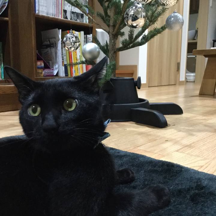 124e8770 ba22 4e1f 8788 67746c8dd450