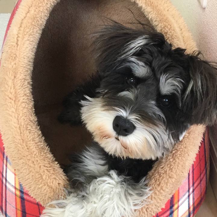 124e9948 e211 4e66 8f39 6b35e5f55bec