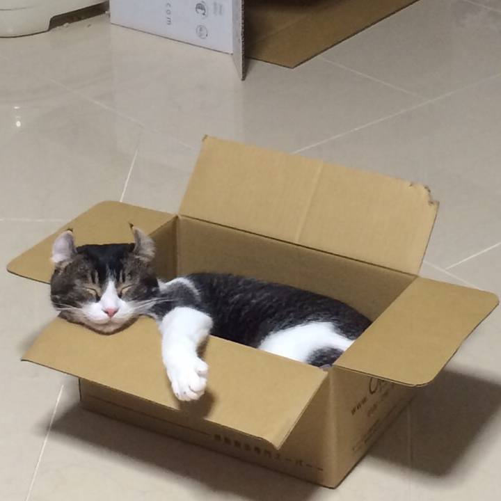 124eeb21 83d3 41c2 ac42 ec88667be1ac