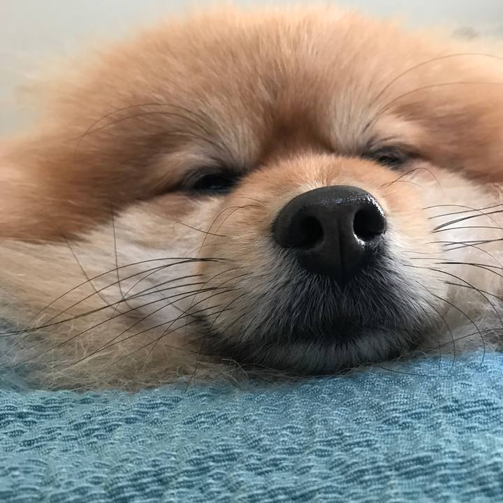 124f3b14 575e 4830 8ae6 b0d1da2ad3b2