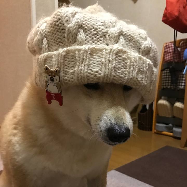 124f3ef3 8222 4c67 9dac ea11119f156e