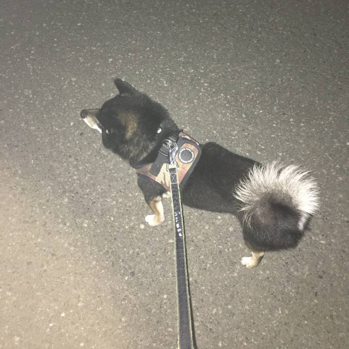 124f5df7 8371 49f4 ad2f 1eb66a904133