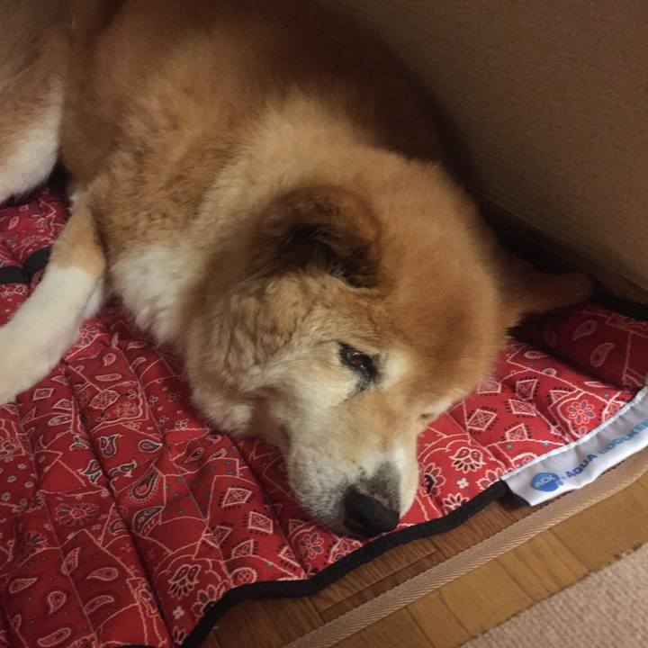 124ffb9c f8ba 43ba a37c bcf81ac8d6ab