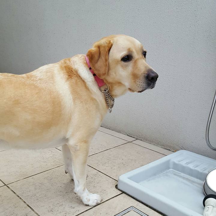 12503611 0ed2 4699 9b05 cdf039653be2