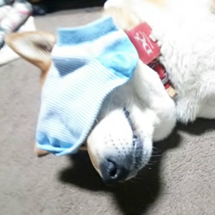 1250e69c 95c0 4223 b2bd 50b5d7d5ab19