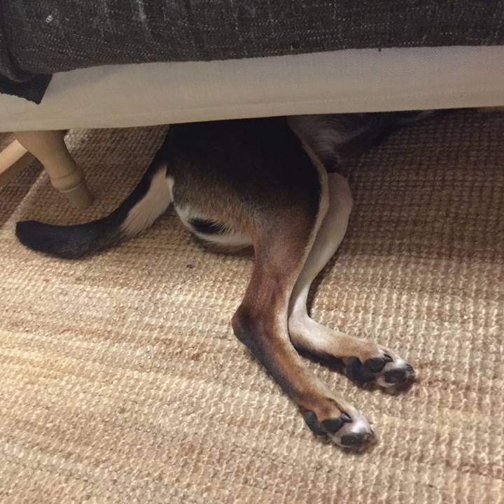 1250e93f 11b8 40d3 a7fd 2ab1412349c1