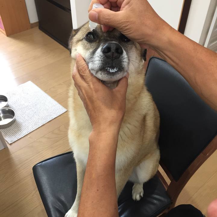 1251388c 975a 4501 9c3e 795232d99b15