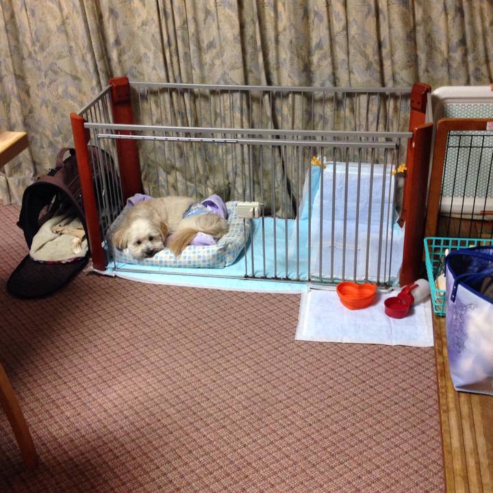 125158a6 e128 43fb a338 11009e182281