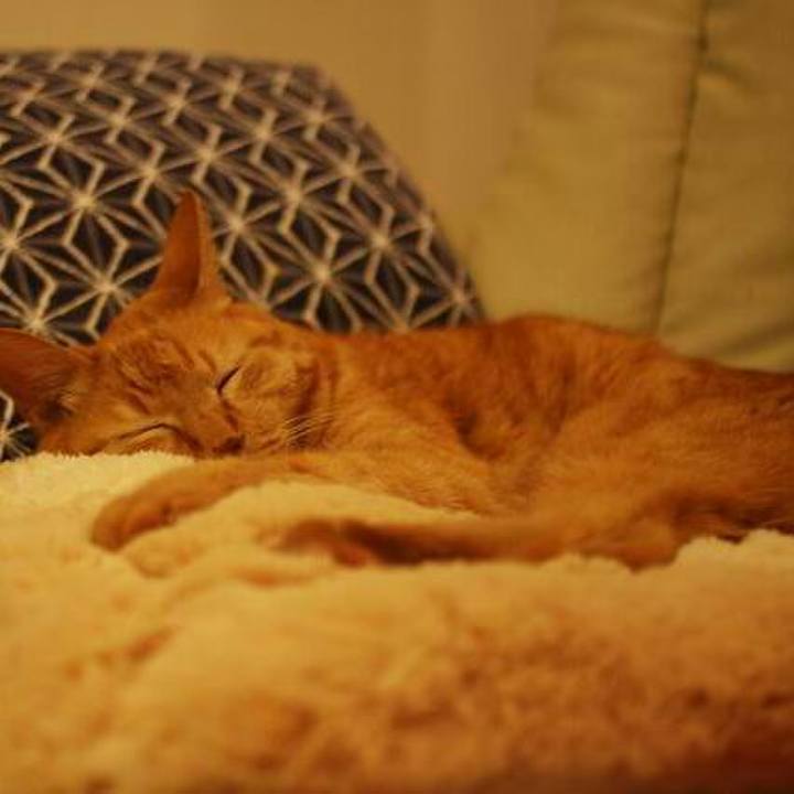 1251a408 6d1b 439c b439 07301a50254d